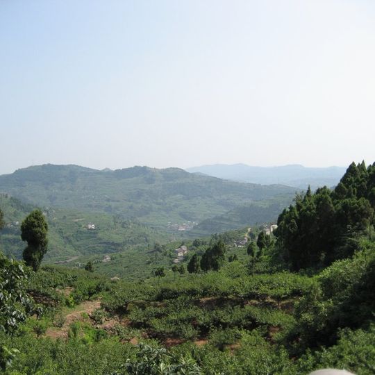 Longquanyi