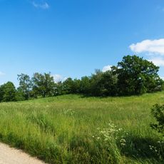Quarry at Burschenberg near Cavertitz