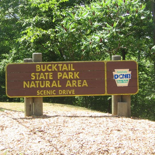 Bucktail State Park Natural Area