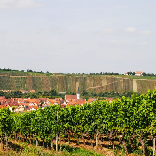 Burgstall Vogelsburg