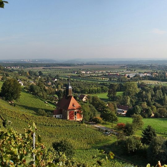 Pillnitzer Königlicher Weinberg