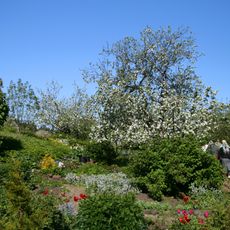 Orchard, Valaam Monastery