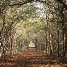 Cuxtal Ecological Reserve