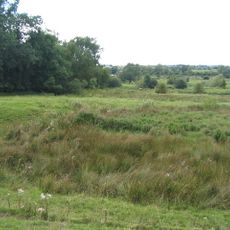 Frisby Marsh