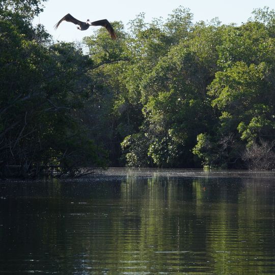 Laguna de Manialtepec