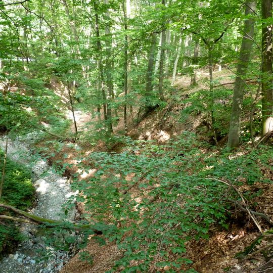 Údolí Kohoutovického potoka