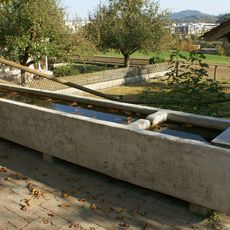 Brunnen Riedernstrasse 53