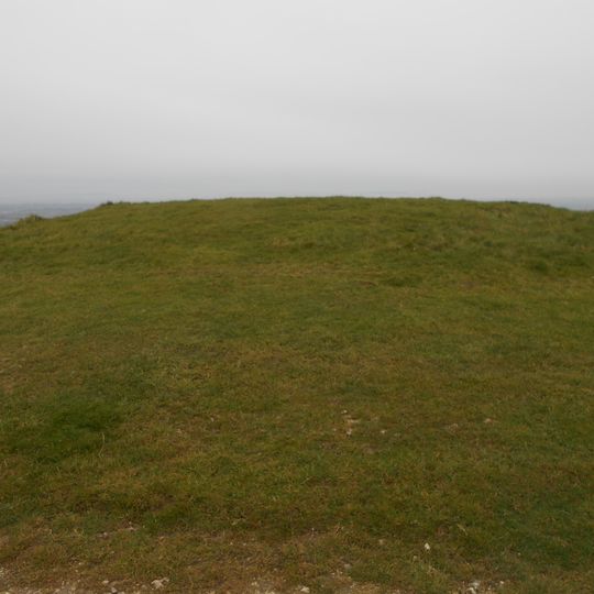 Bowl barrow 200m west of Chanctonbury Ring hillfort