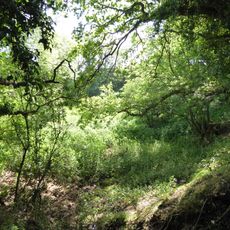 Neutral Farm Pit, Butley