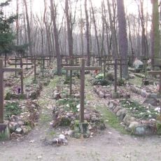Forest Cemetery in Laski
