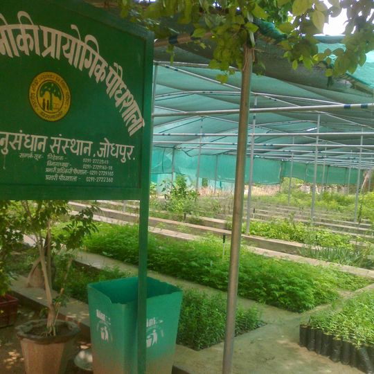 Arid Forest Research Institute