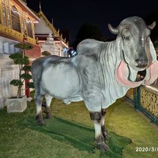 Sculpture