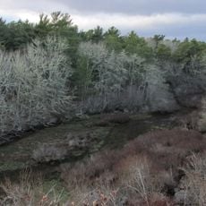 Mashpee River Reservation