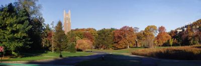 Panoramic View 4