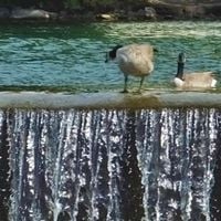 Idaho Falls