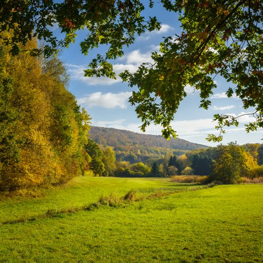 Naturschutzgebiet Heftricher Moor