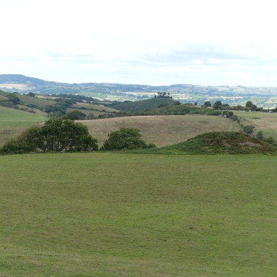 Three bowl barrows north east of Thorncombe Beacon, 160m, 190m and 400m south west of Down House