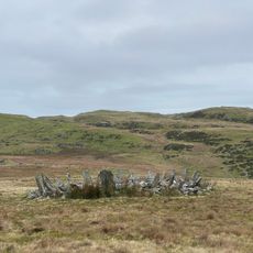 Bryn Cader Faner
