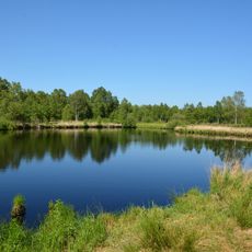 Welmbütteler Moor