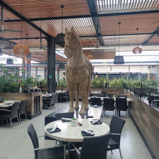 P.F. Chang's Antea