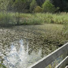 Schutz des Ebersberger Forstes im Landkreis Ebersberg als LSG