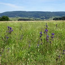 Rösberg bei Rommerode