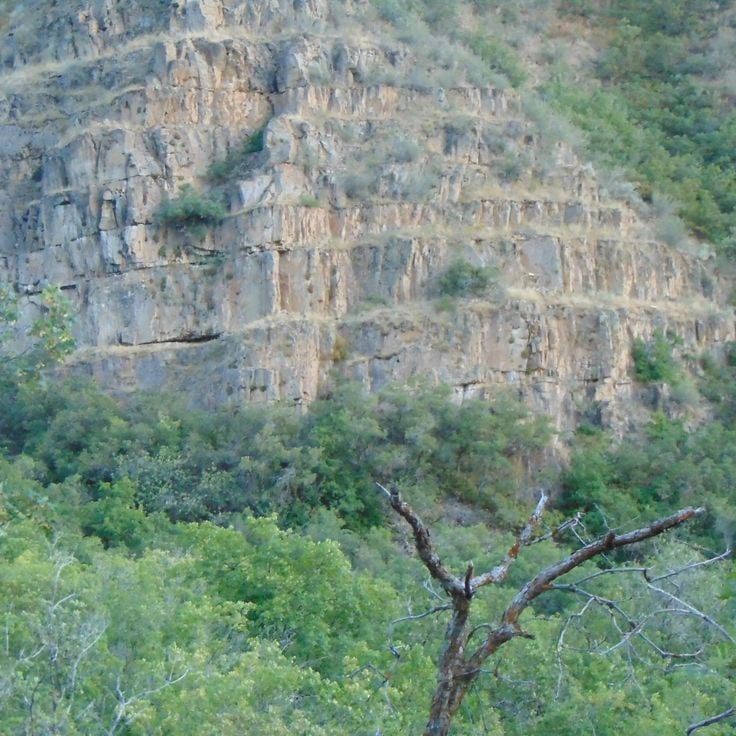 Maple Canyon