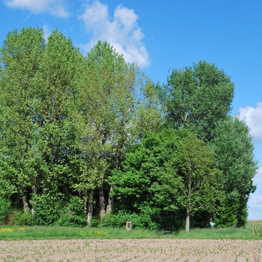 Baumgruppe "Ehem. Vöhinger Kirchle"