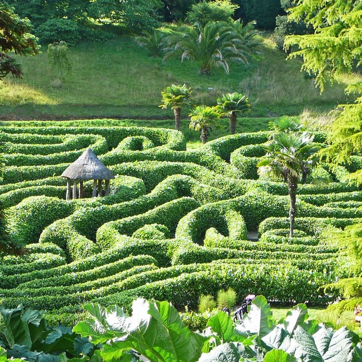 Glendurgan Garden Maze