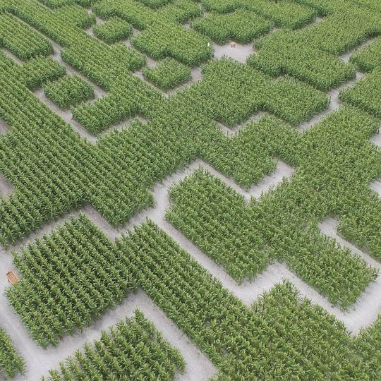 Pop Corn Labyrinthe