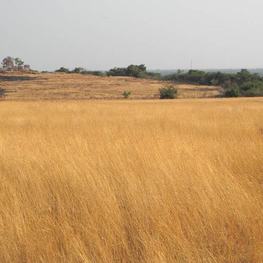 Madayi Gramapanchayath