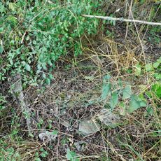 Mischkova kaple mezi Verušicemi a Žluticemi