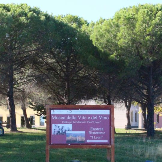 Museo della vite e del vino
