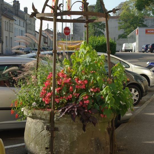 Puits communal de Mirecourt