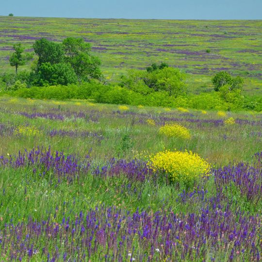 Tarutyne settlement hromada
