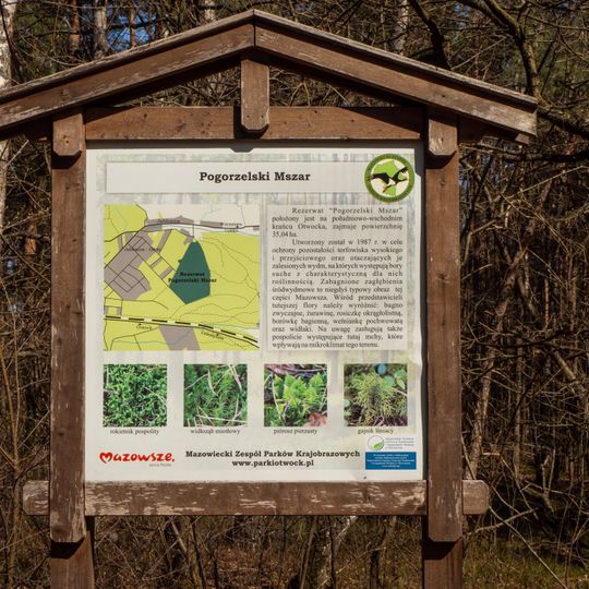 Rezerwat przyrody Pogorzelski Mszar