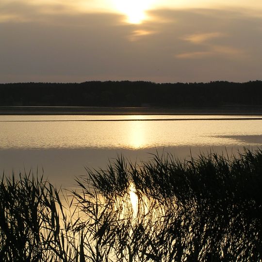 Novodonivskyi Reserve