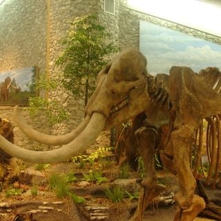 Sítio Histórico Estadual Mastodonte