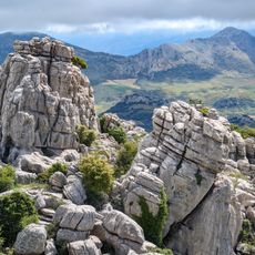 Las Catedrales
