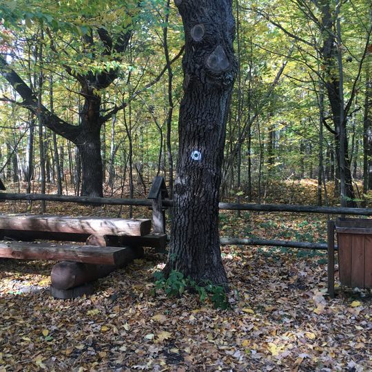 Rezerwat przyrody Bór