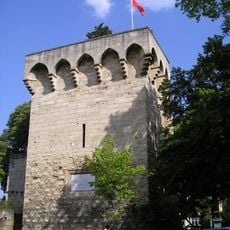 Tour des Pins