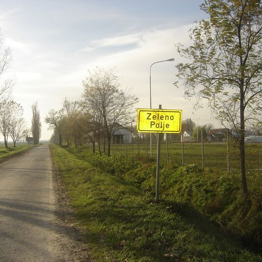 Zeleno Polje