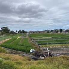 Arncliffe Market Gardens
