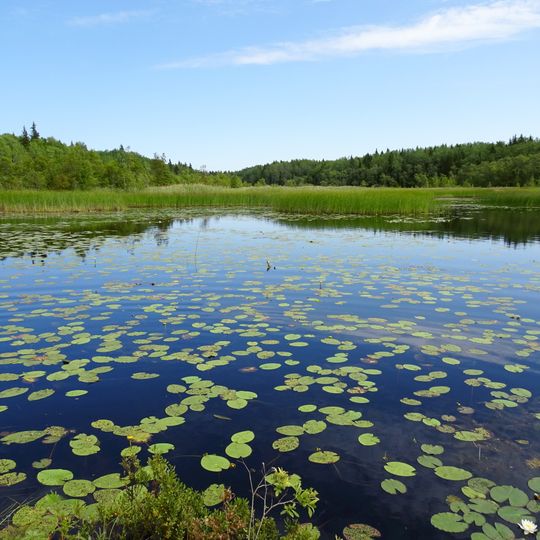 Måsjön-Borudamyren