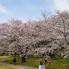 Asamiya Park