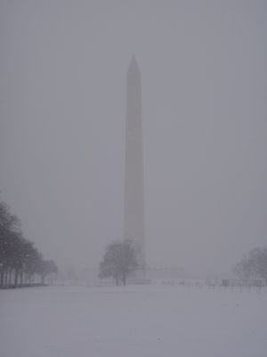 Winter 7