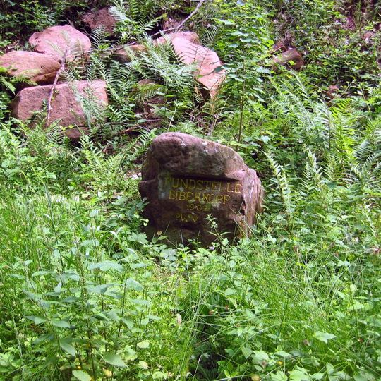 Ritterstein 17 "Fundstelle Biberkopf"