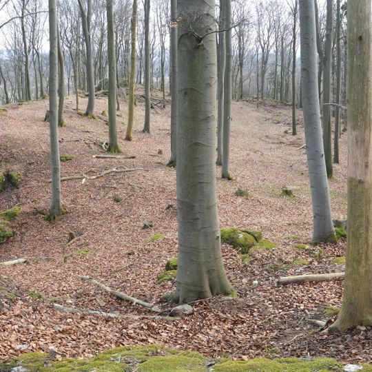 Abschnittsbefestigung in Simmelsdorf