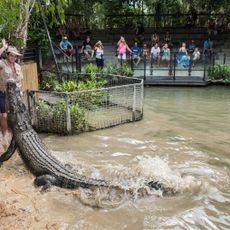 Hartley’s Crocodile Adventures