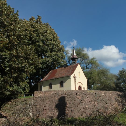 1 Steinweichsel, 2 Ahorn